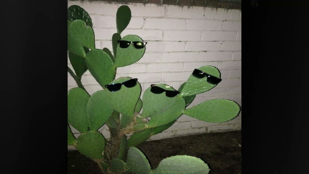 (FREE) Oliver Tree Indie pop x Alternative Type Beat 