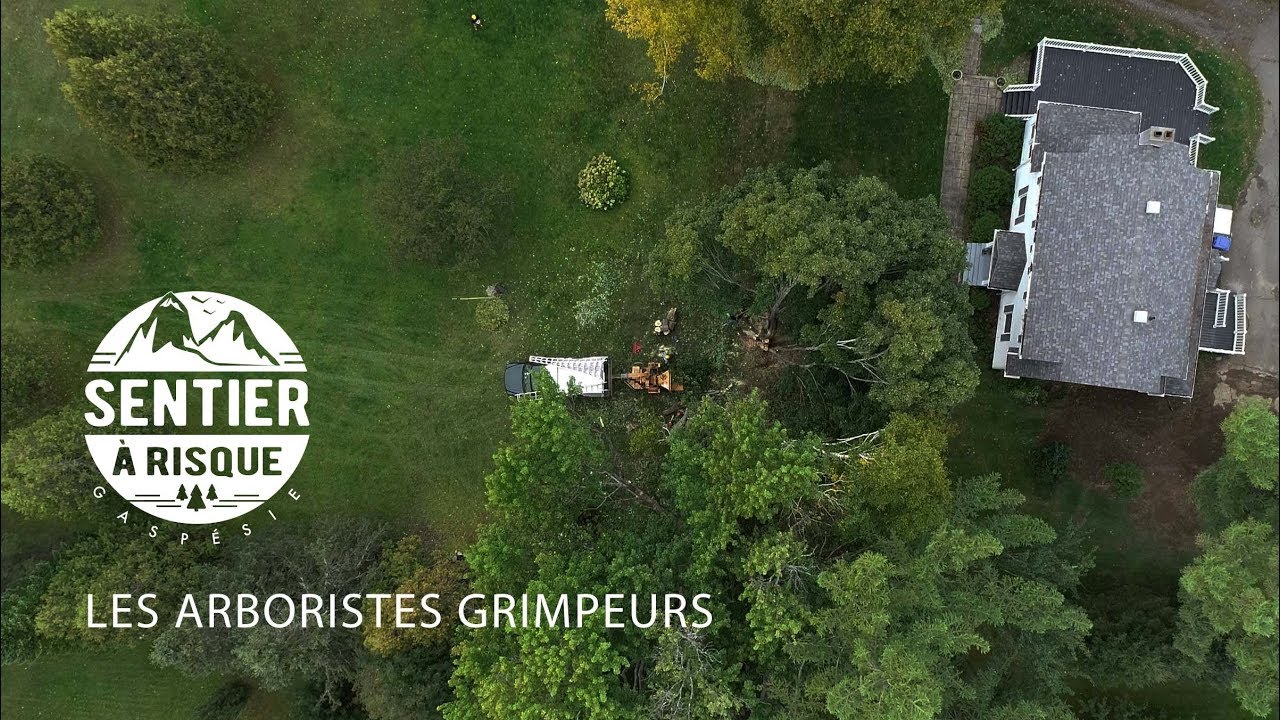 Sentier à Risque: Arboristes grimpeurs