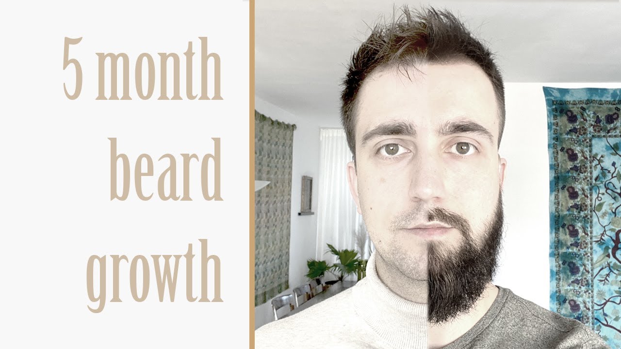 5 month beard growth | Time Lapse | Beardlapse | Covid beard