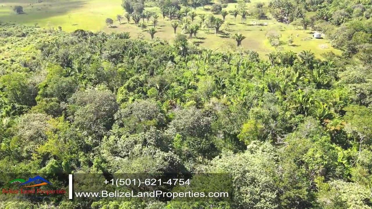 Land For Sale in Cayo Belize real estate- 32.62 Acres