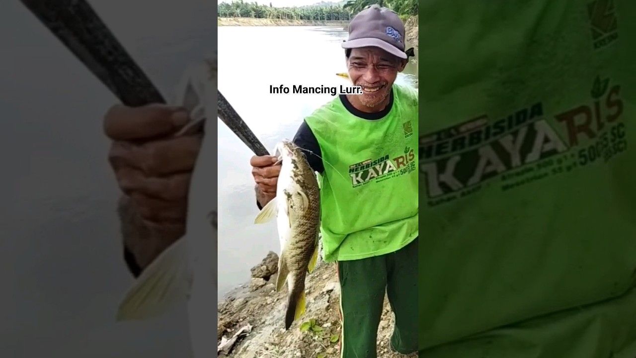Info Mancing Lurr.. Gaskan. 