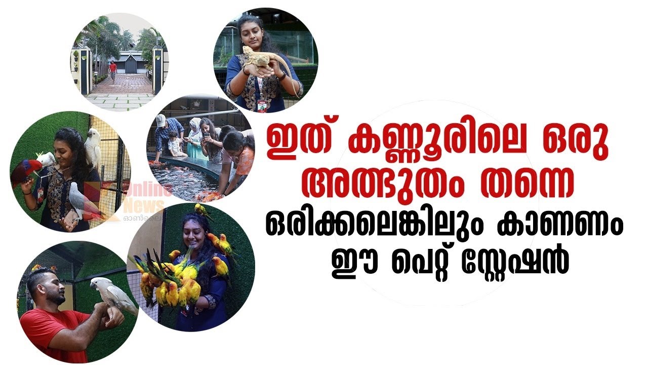 ഇത്  കണ്ണൂരിലെ ഒരു അത്ഭുതം തന്നെ : ഒരിക്കലെങ്കിലും കാണണം ഈ  പെറ്റ് സ്റ്റേഷൻ, Pet Station Kannur