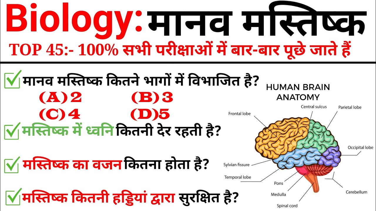 TOP 45: Biology (मानव मस्तिष्क) अति महत्वपूर्ण प्रश्न || Topic Wise Science || Science GK
