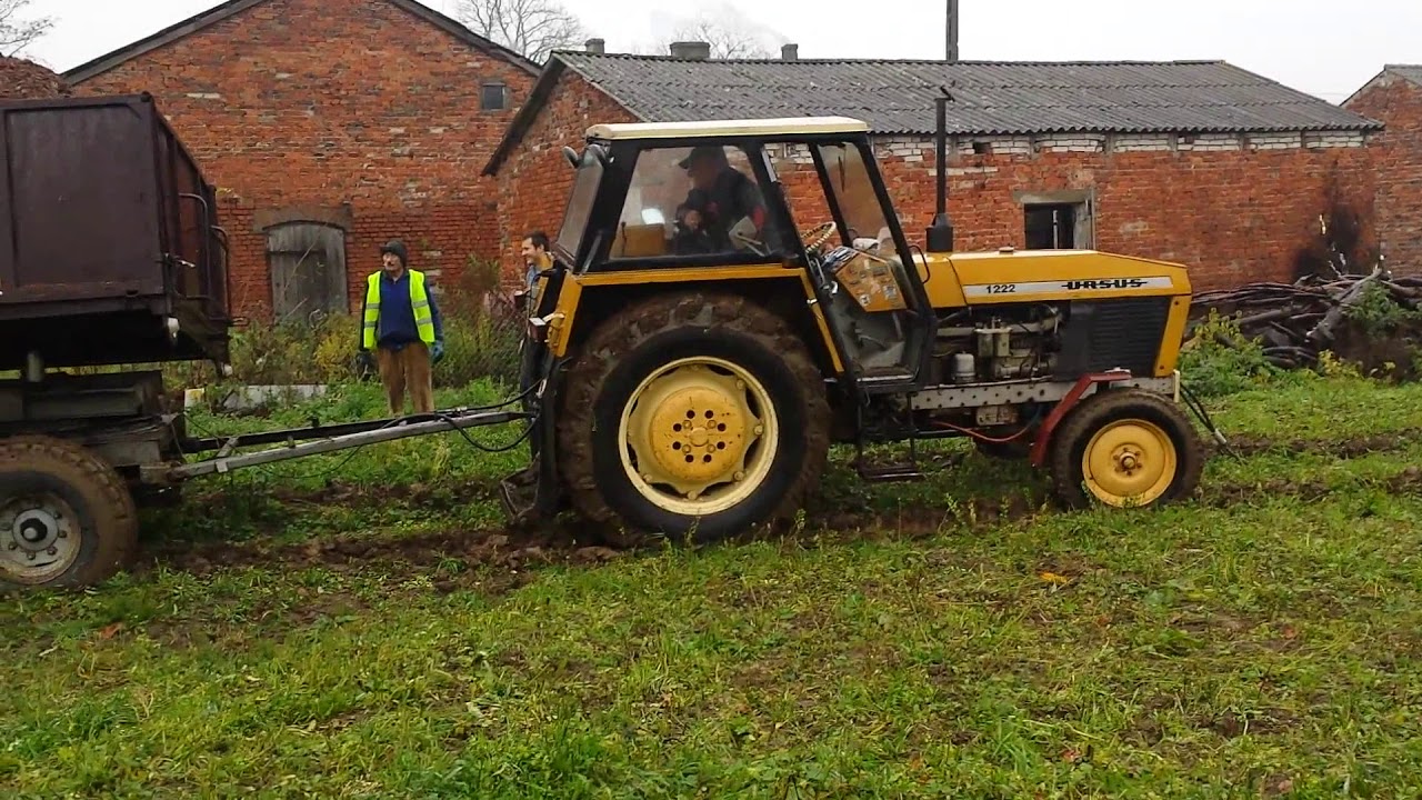 URSUS 1214 i URSUS 1222 z przyczepą torfu na błocie