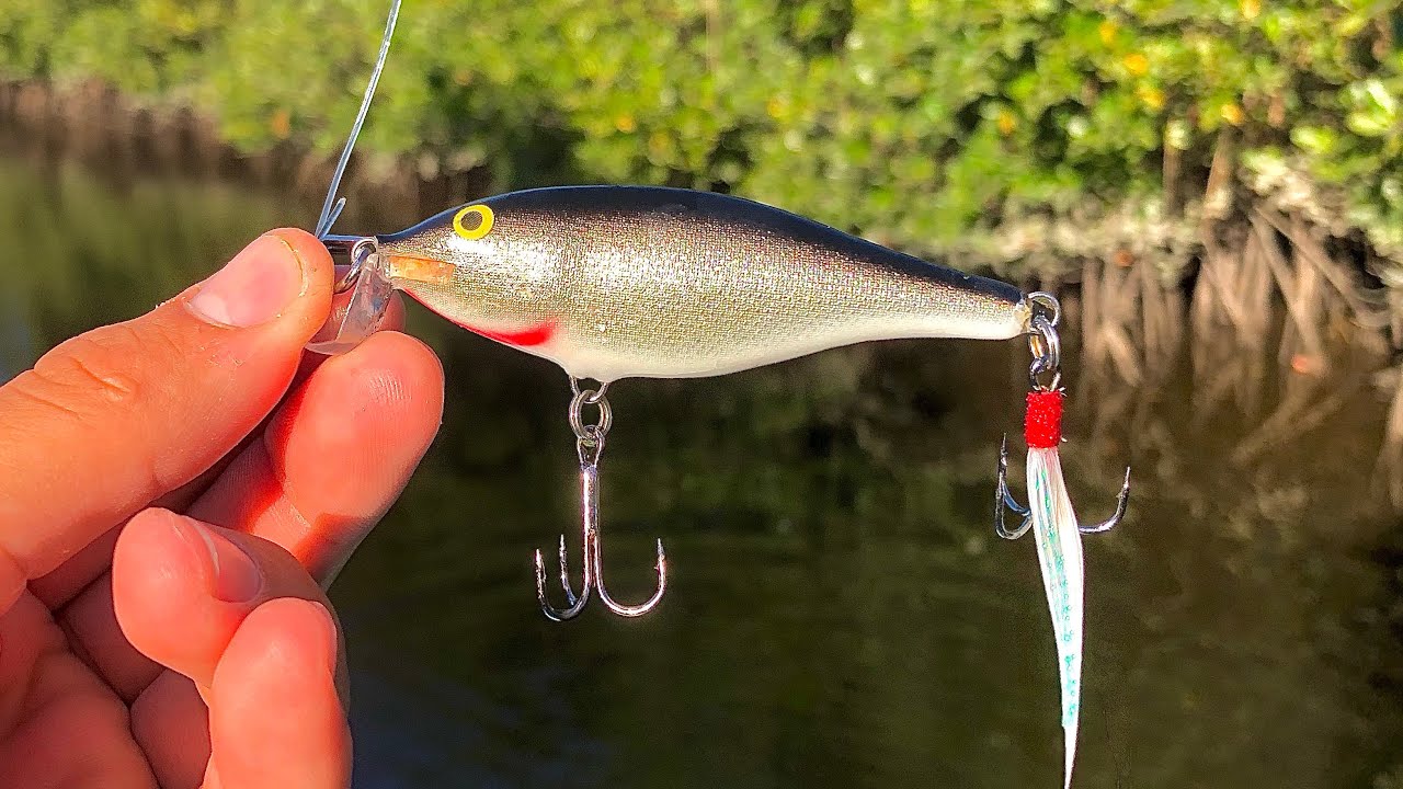 Este SE&Ntilde;UELO sali&oacute; Robalero //  pesca de pargos y r&oacute;balos // pesca con MINNOW