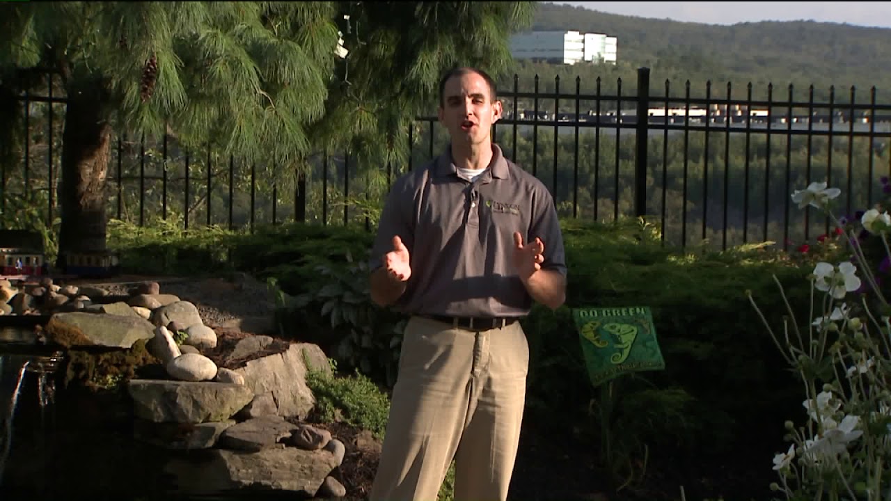 Why WNEP Does Weather Outisde