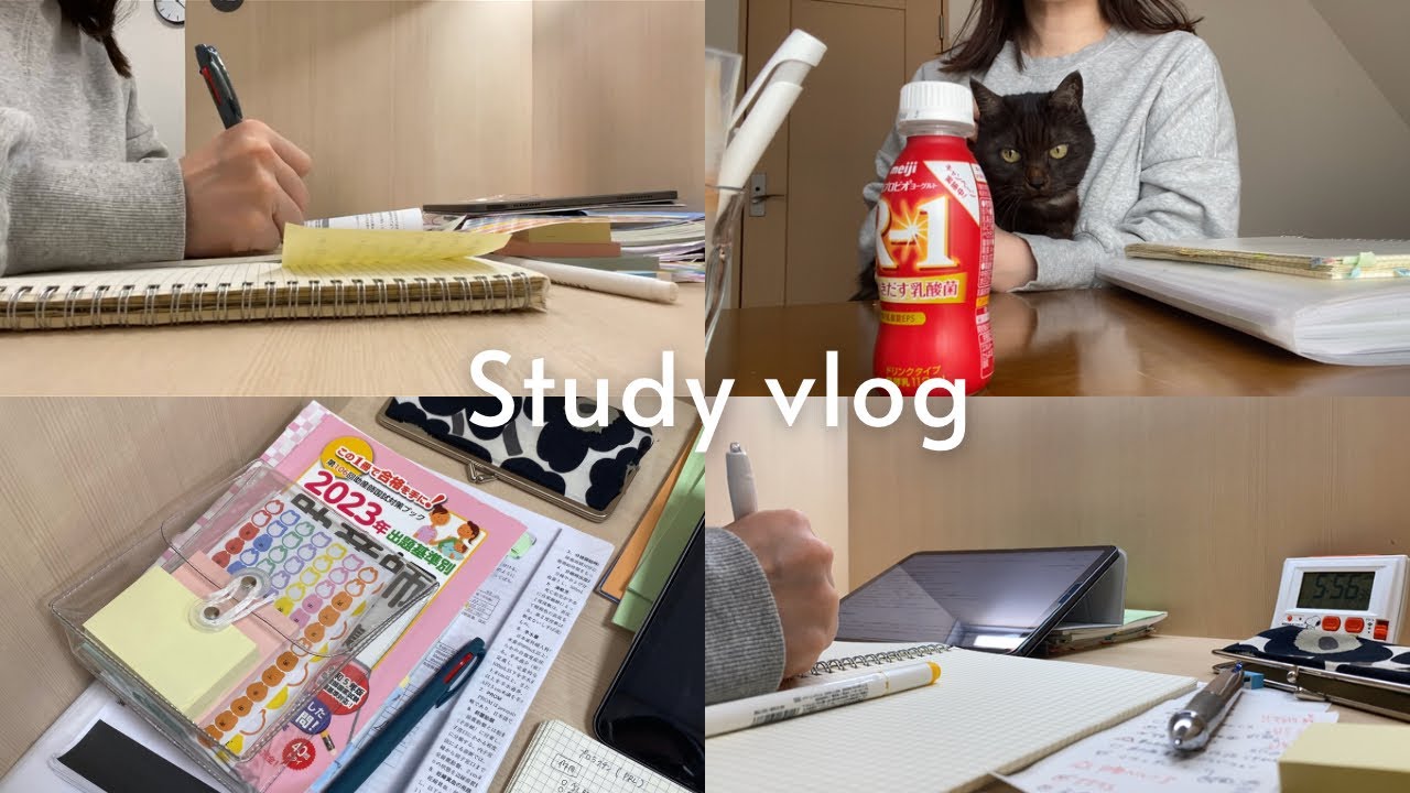 Vlog53. 体調管理しながら勉強する受験生の暮らし記録 🐈🥛💛 ✦ study vlog ✦