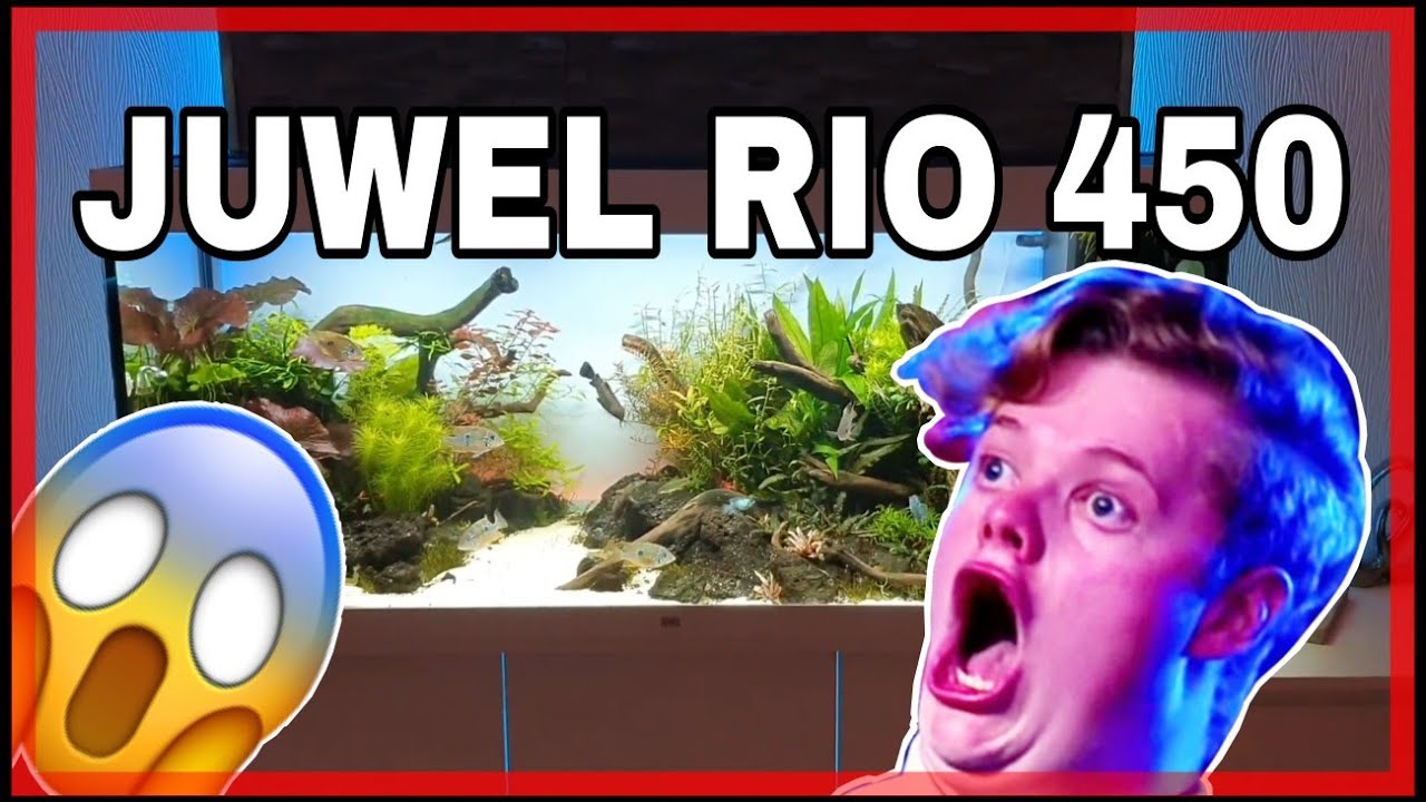 Mein Juwel rio 450 Aquarium erklärt!