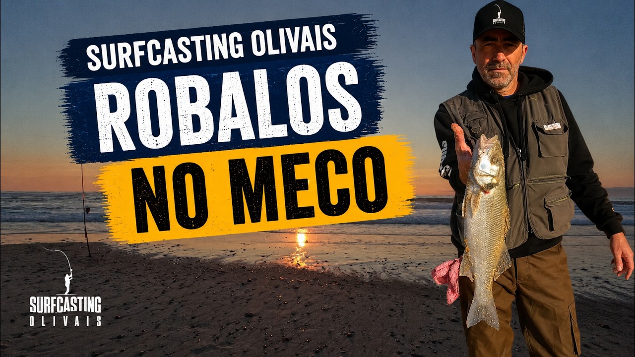 ROBALOS NO MECO | Surfcasting Olivais