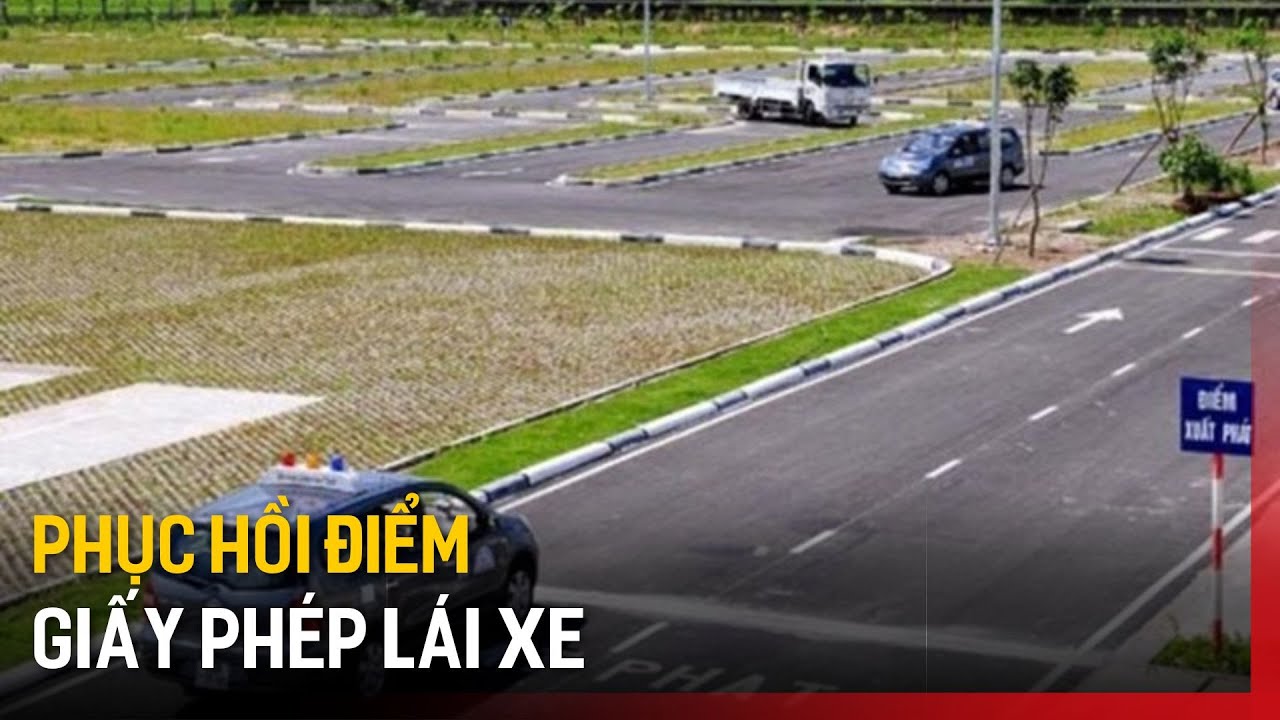 Phục hồi điểm GPLX như thế n&agrave;o? | Tin tức
