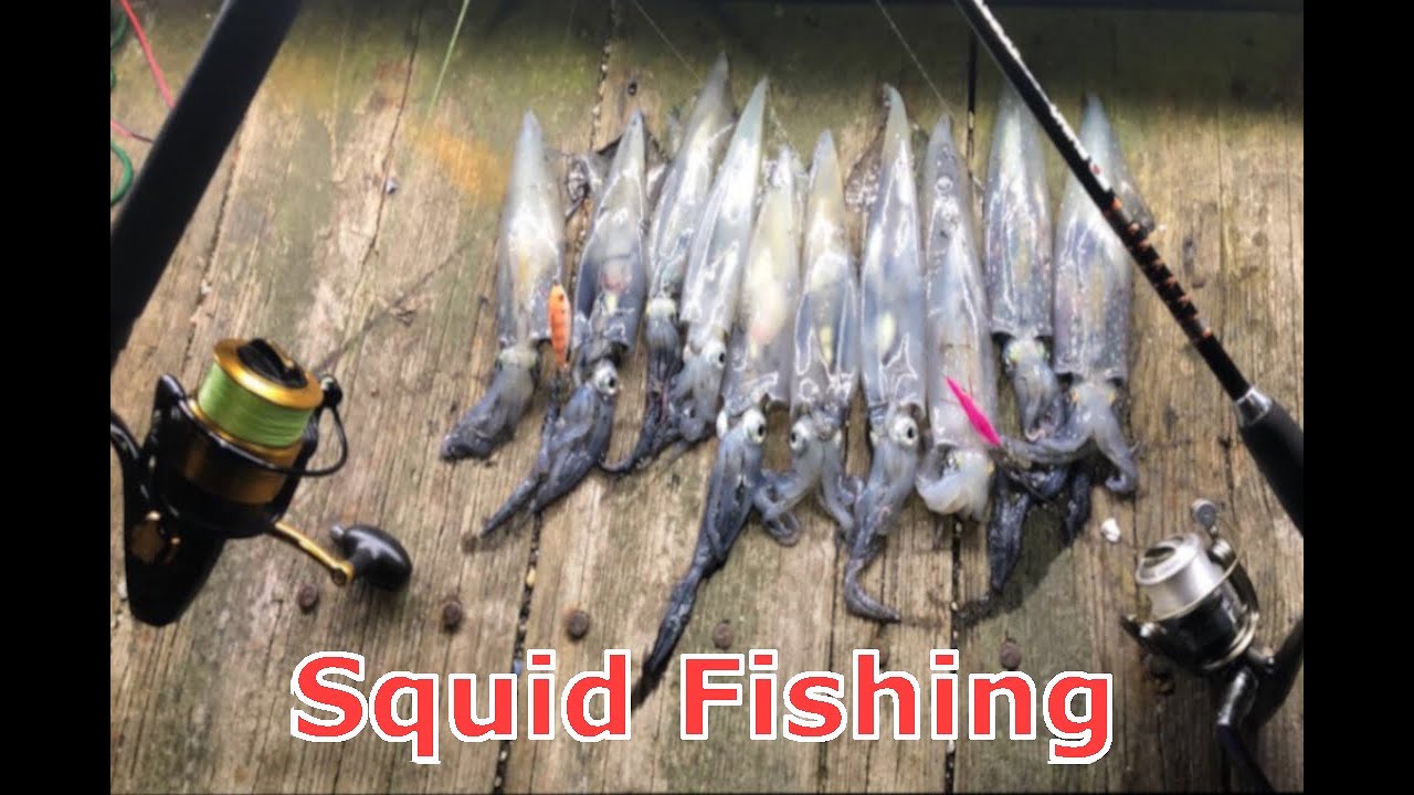 Cape Cod Squid Fishing (Catch, Clean, and Cook)