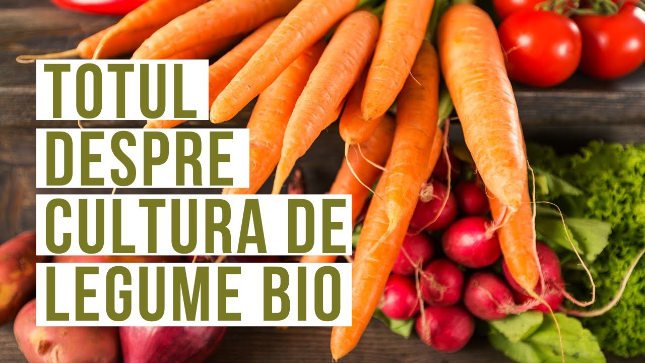Cultura ecologică și productivă de legume | Grădina BIOINTENSIVĂ