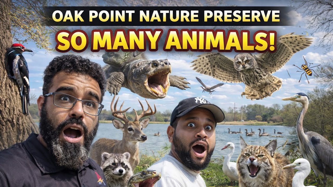 SHOCKED at Oak Point Nature Preserve 😱 So Many  Animals in Plano, Texas!