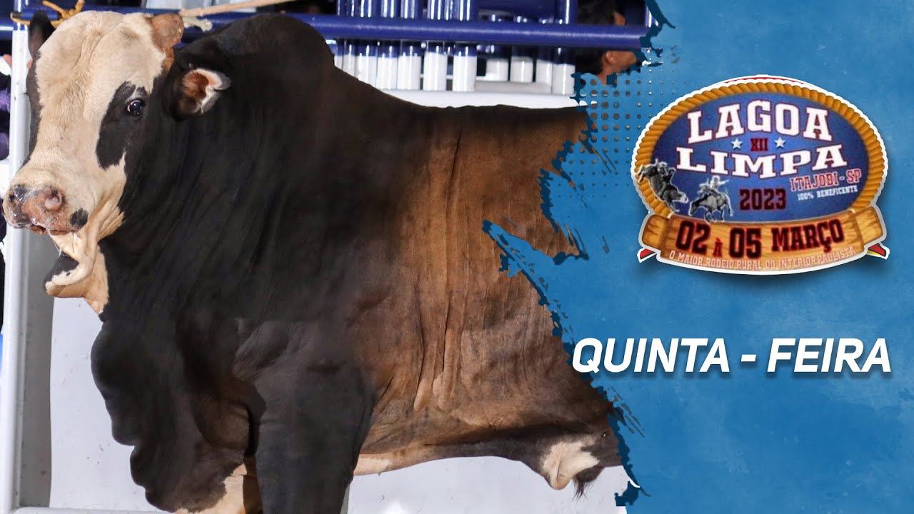 Rodeio da LAGOA LIMPA 2023 (QUINTA / MELHORES MOMENTOS)