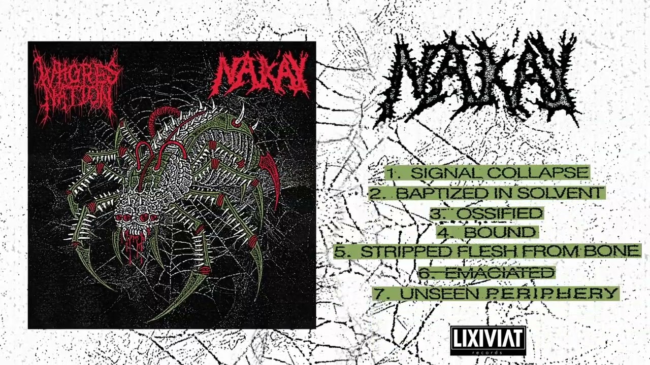 Whoresnation / Nak'ay - Split - 2026 (Full Grindcore Album Streaming)