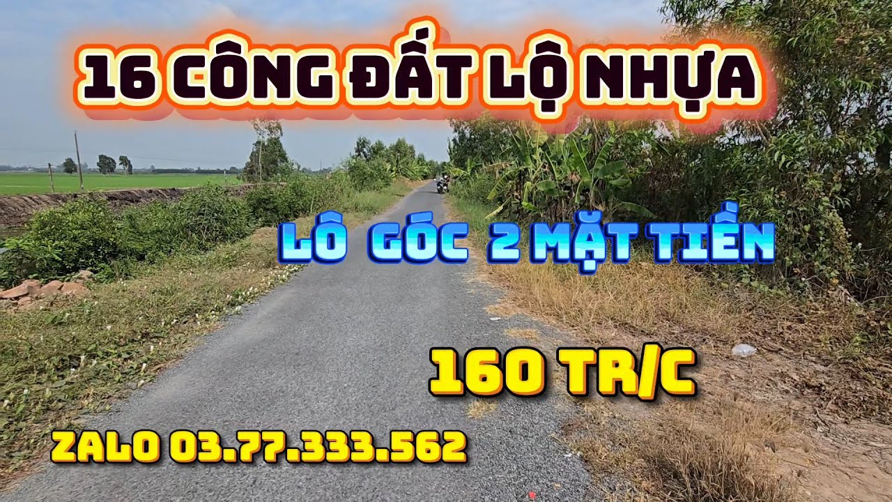 16 công đất  lô góc  hai mặt tiền, lô nhựa xe tải chạy, thạnh  hóa long an  giá 150tr/c