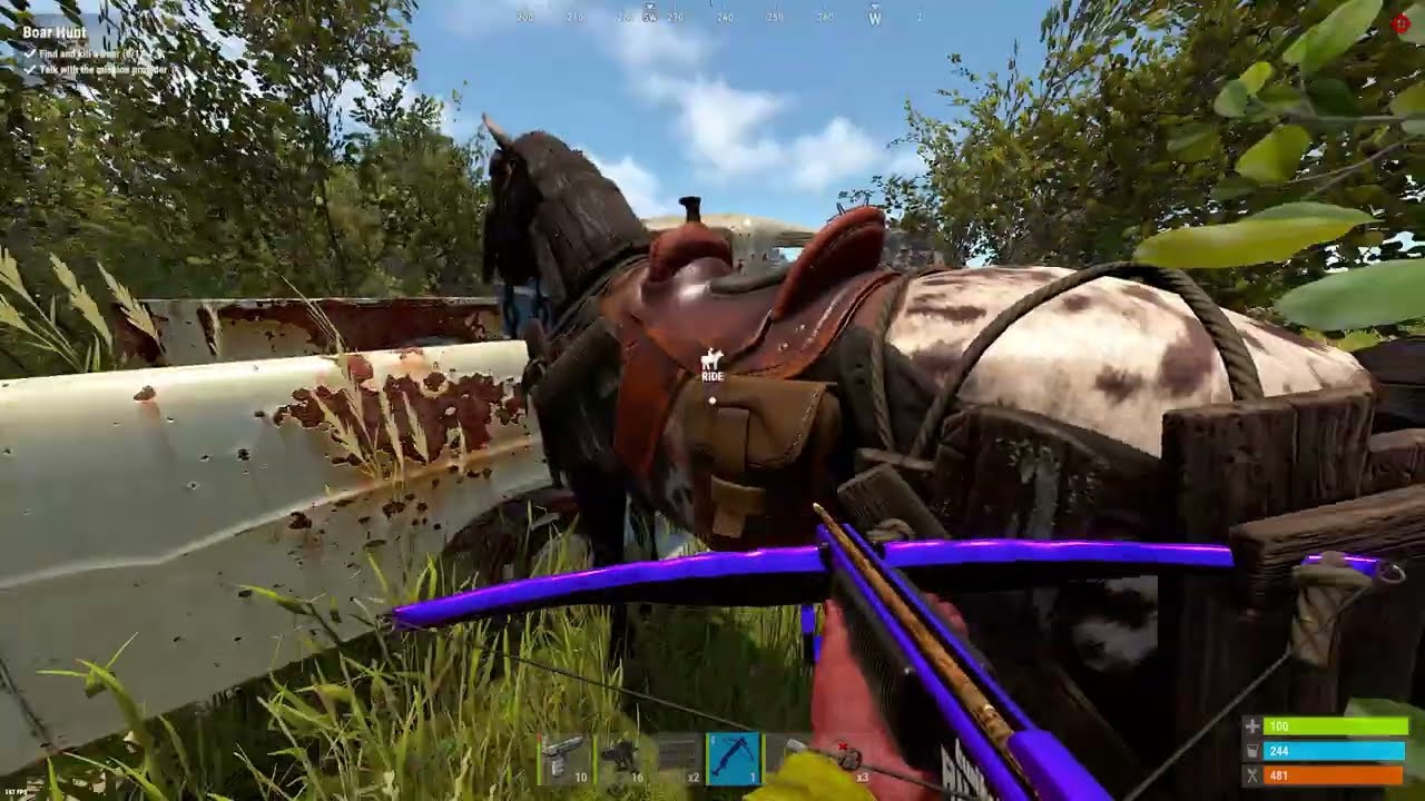 Hobby Horsing in RUST