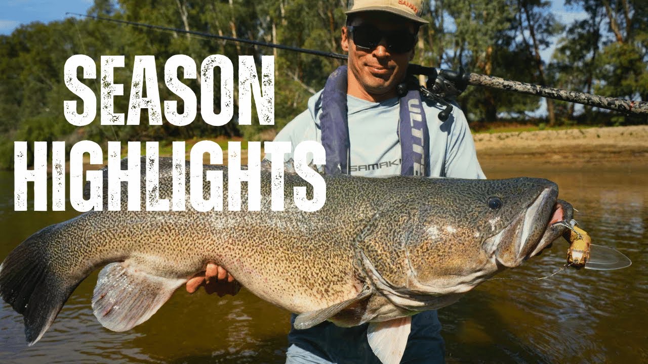 2025 Murray Cod Season BIG FISH Highlights - Cod Compilation