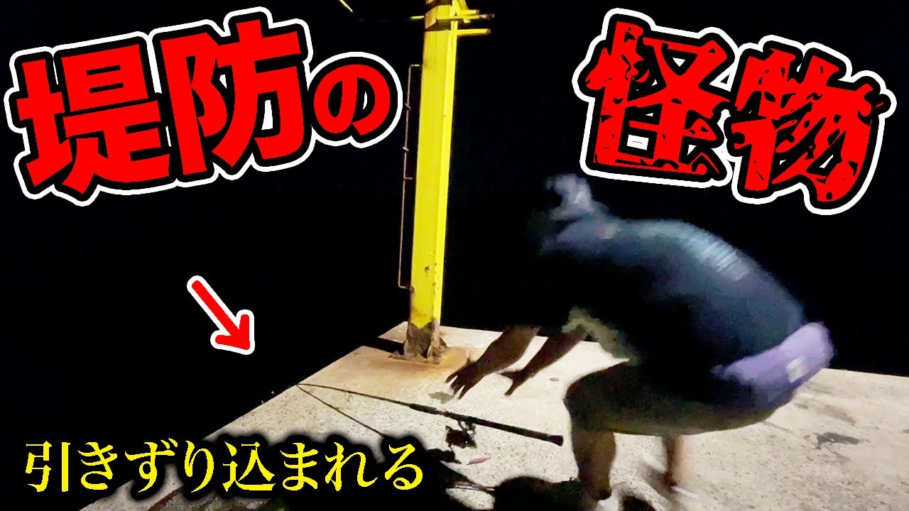 【離島生活#29】生きたイカを足元に落とした瞬間...！