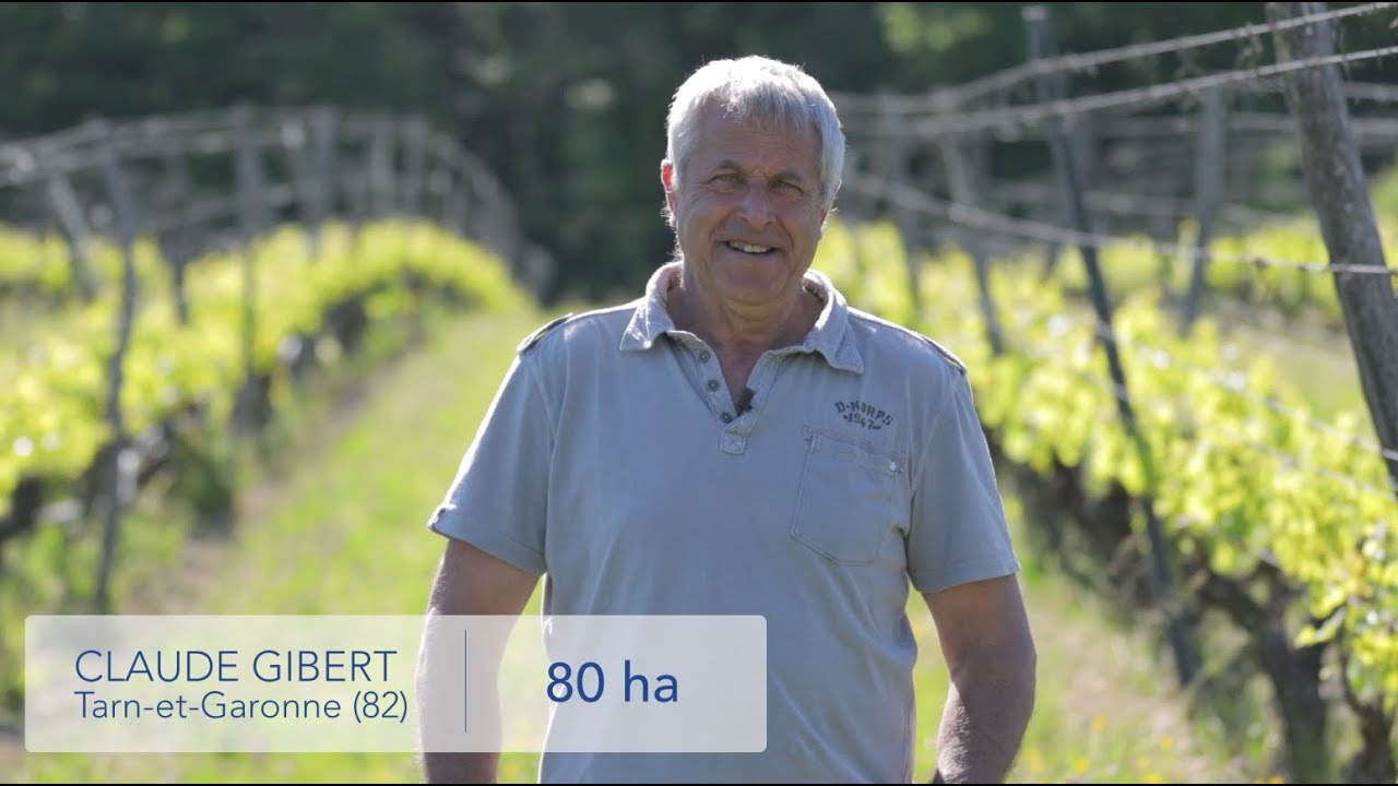 How can you regularly grow organic produce with high yield and quality standards? - EN