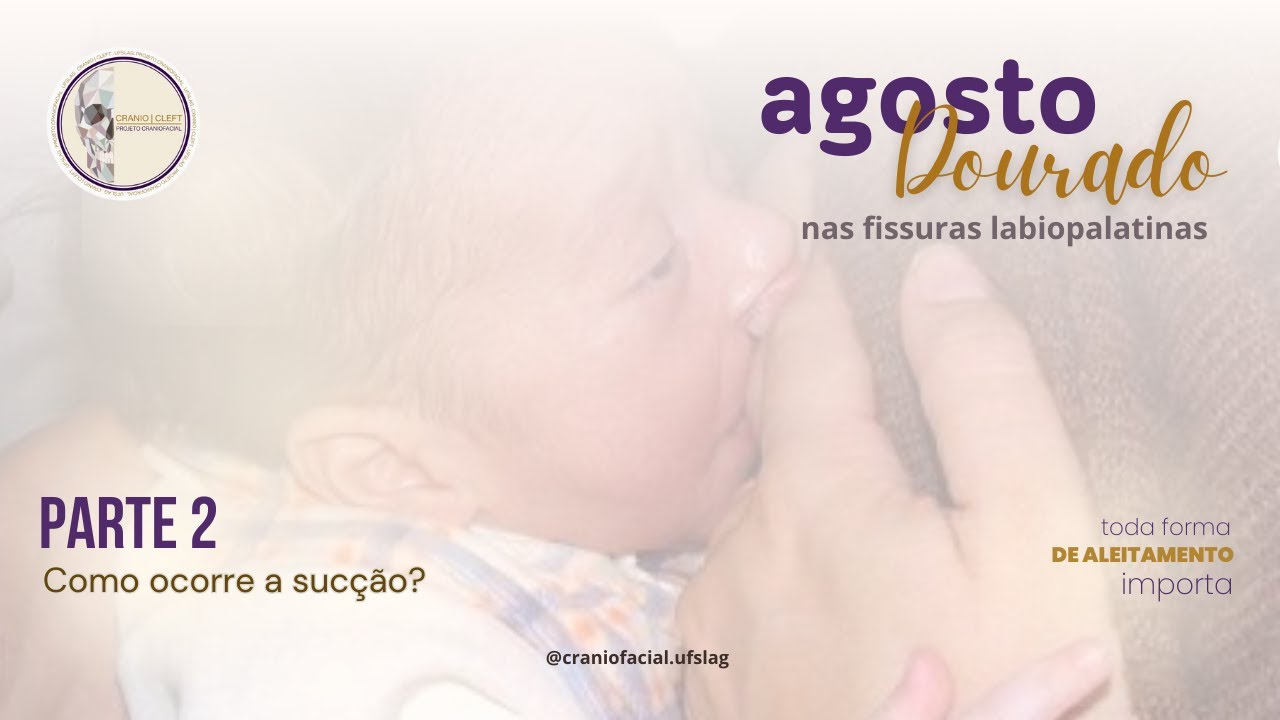 Como ocorre a suc&ccedil;&atilde;o?
