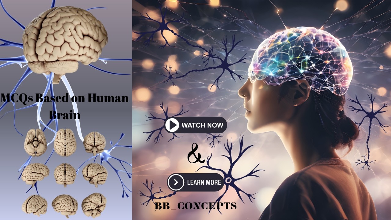 MCQs based on the Human Brain #biology #biologymcqs #brain #mcqs #humanbrain #youtubevideos #youtube