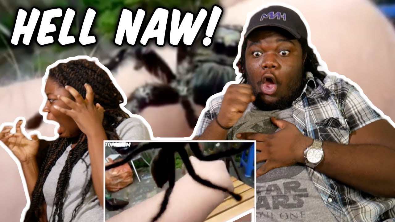 Try Not To Look Away Challenge - SPIDER EDITION! ft. Ms.Milkywayy