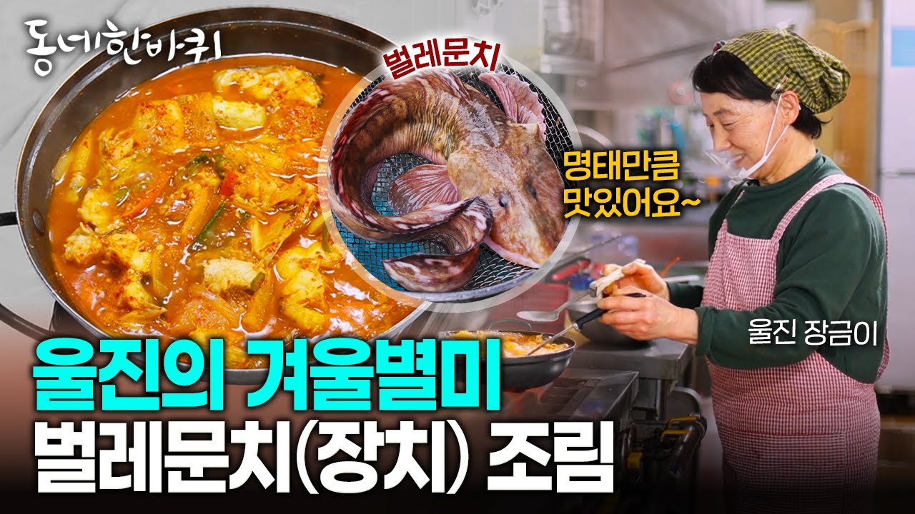동해 아니면 맛보기 힘든 생선.. 울진 죽변항 '벌레문치(장치)' 조림 | KBS 260110 방송