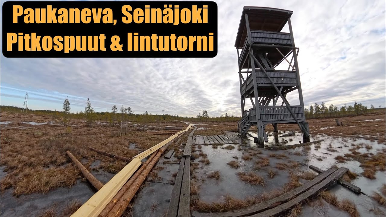 Paukanevan pitkospuut ja lintutorni, Sein&auml;joki - Mit&auml; kaikkea sielt&auml; l&ouml;ytyyk&auml;&auml;n?