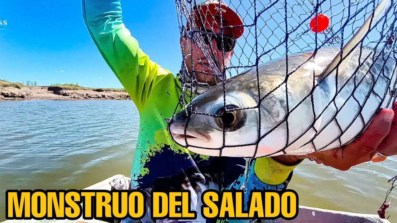 VIDEO ESPECIAL / PESCA DE LISAS CON MI AMIGO  PABLO  EN EL RIO SALADO / 16 HORAS SIN COMER NI BEBER.
