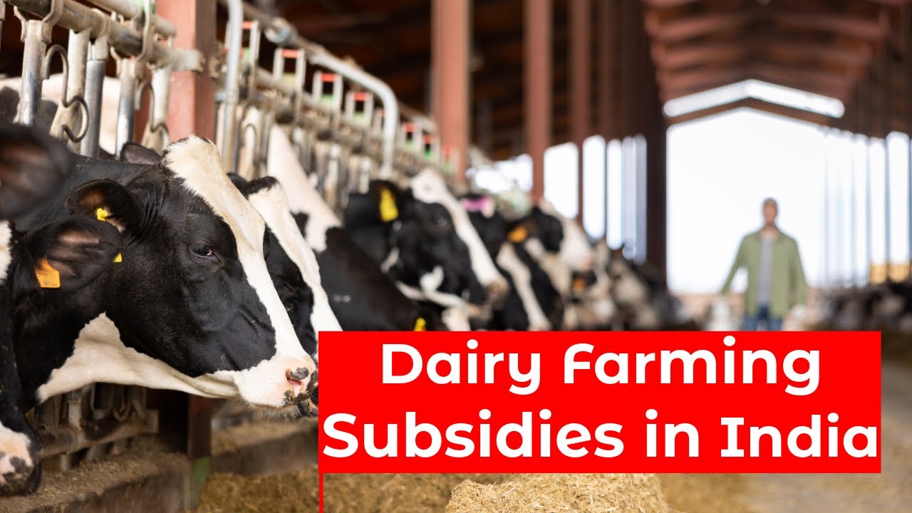 Dairy Farming Subsidies in India | Eligibility | Application Process