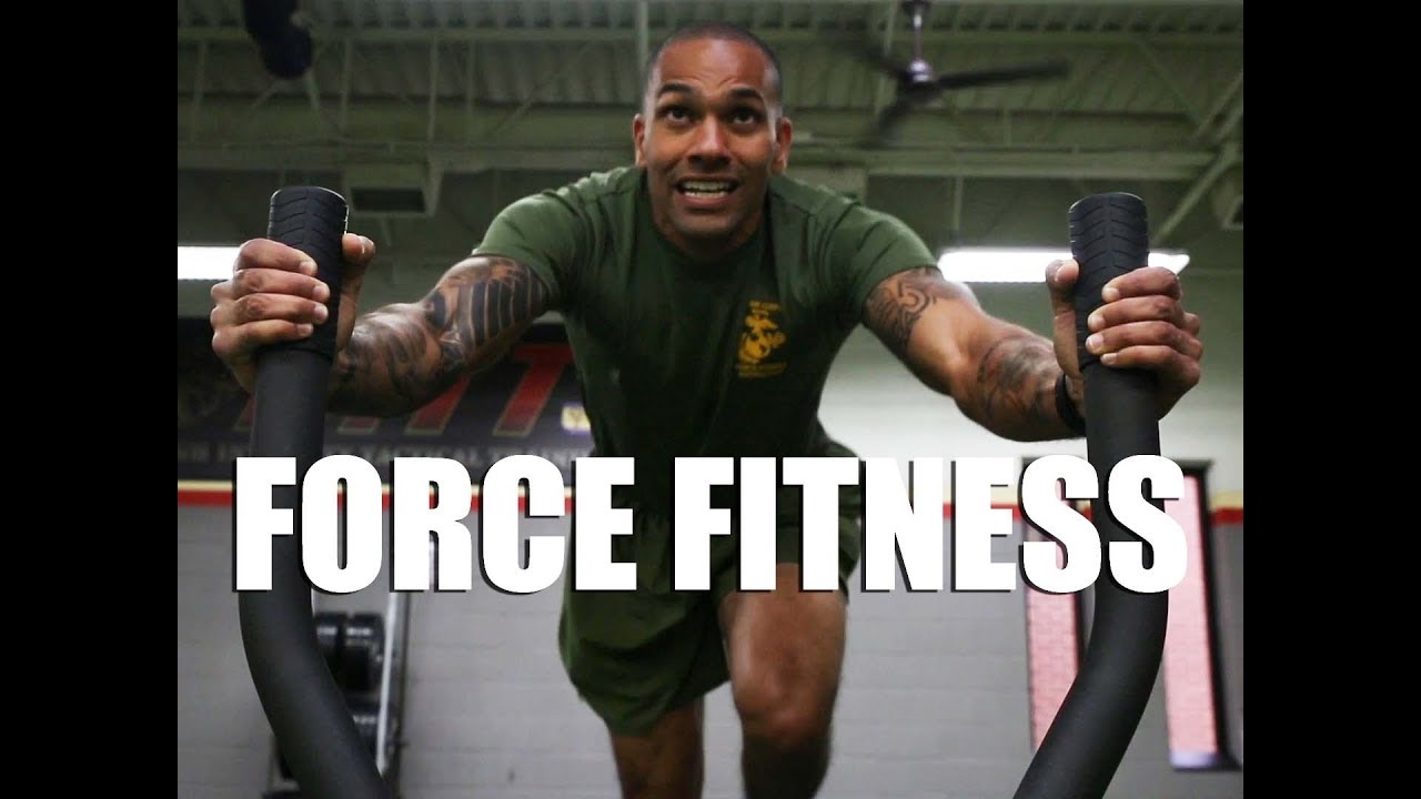 Force Fitness