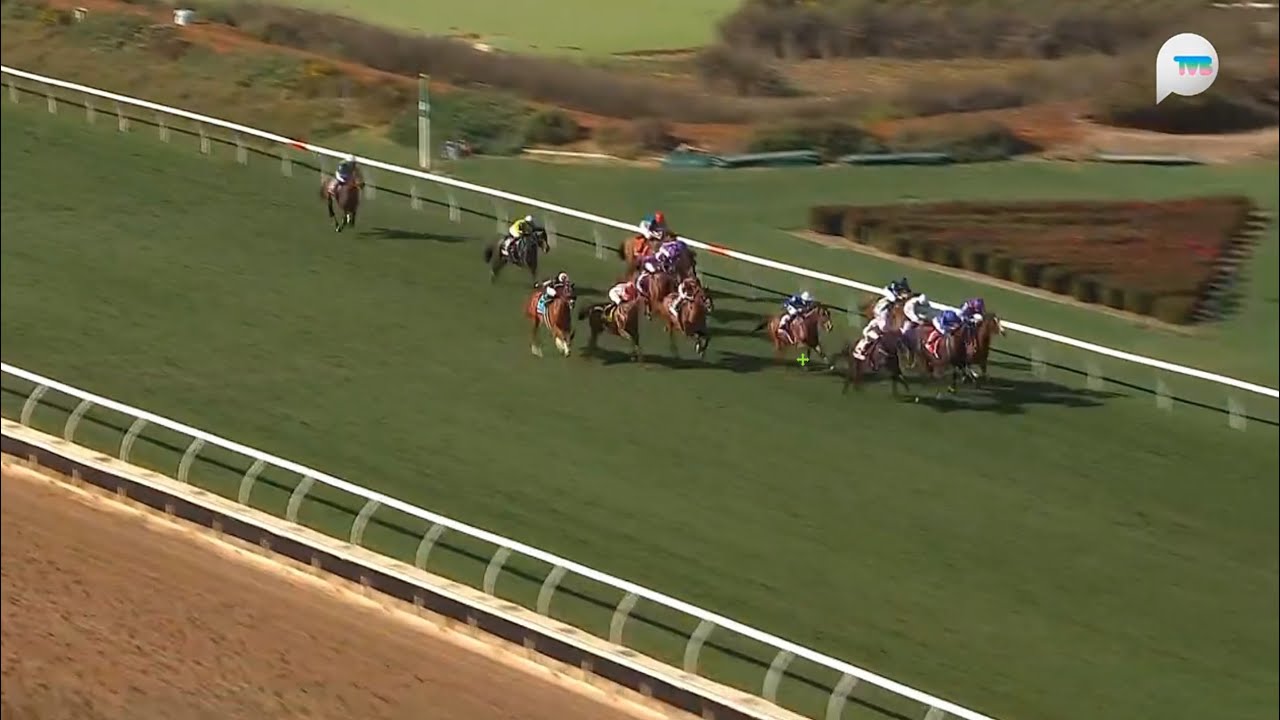 美國育馬者盃草地大賽 Breeders' Cup Turf 一級賽 G1 2400m 2025-11-02 道德美鑽 Ethical Diamond 德爾馬馬場 Del Mar Racecourse