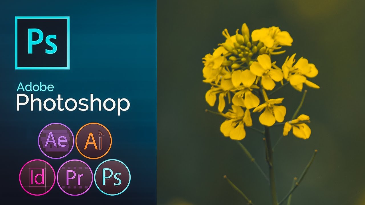 Adobe Photoshop CC 2023 & Camera Raw 15 New Effects