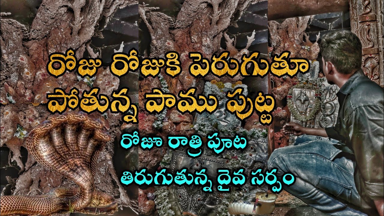రాత్రిపూట పుట్ట చుట్టూ తిరుగుతున్న దైవ సర్పము Historical Places in telugu | Ramateertham Puttalamma