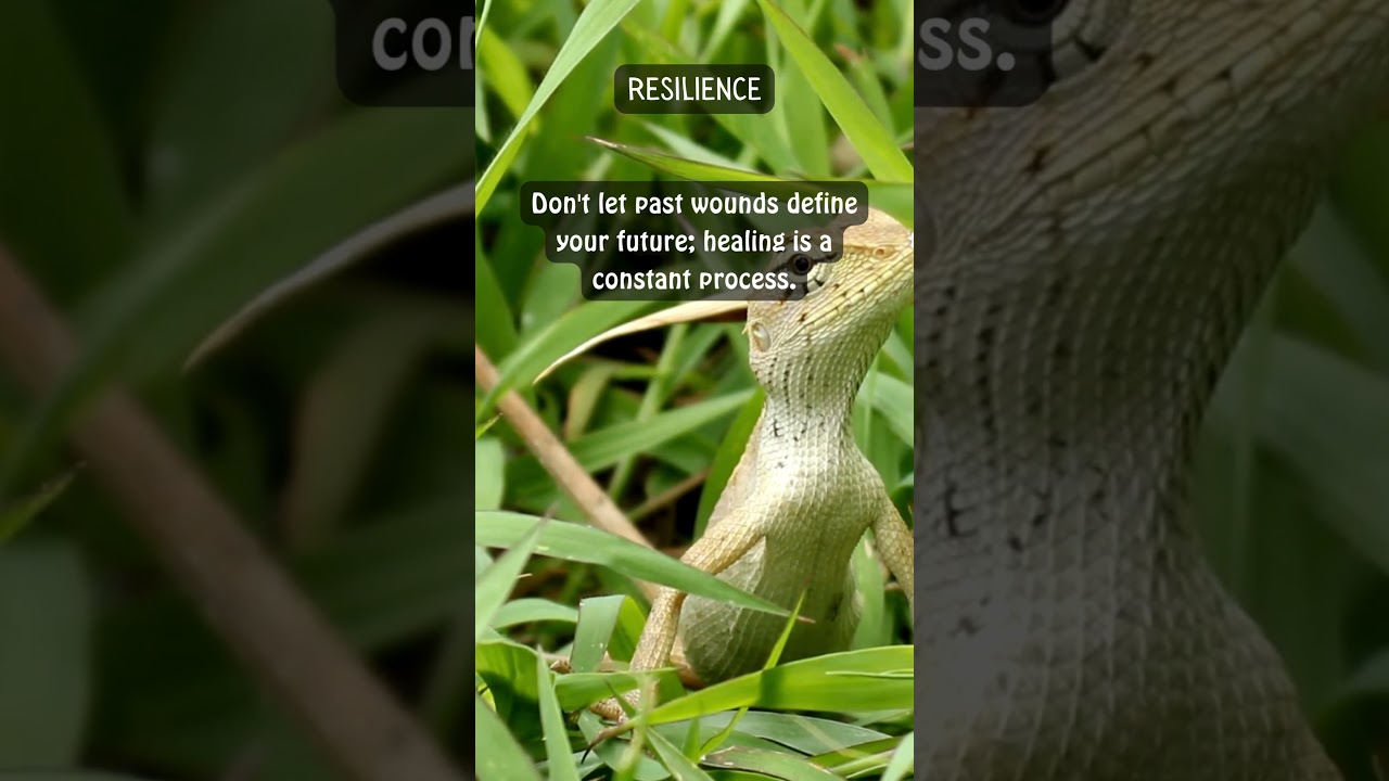 Be Your Best: Life Lessons - #life. #lessons #motivational #animalwisdom #shorts #youtubeshorts