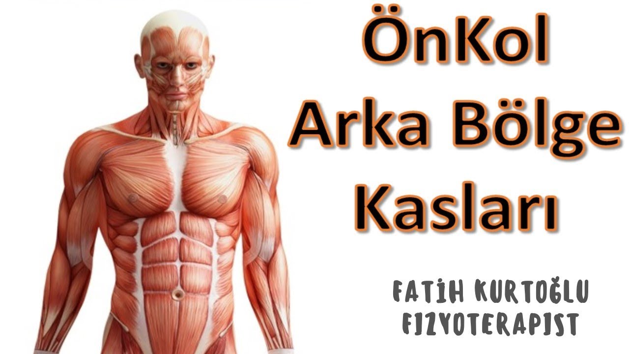 Önkol Arka Bölge Kasları | KAS ANATOMİ si KONU ANLATIMI -7