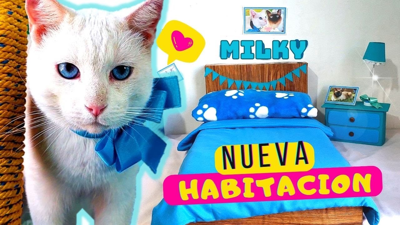 Gatito Vago estrena NUEVA Michi HABITACION completa para el solito! 😻🛏️Le hago su CAMA! 🙌🐾🧵