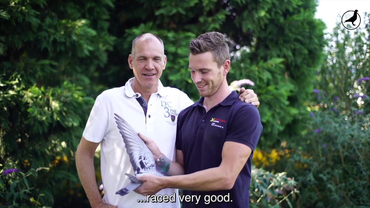 PIPA TV: Jan Hooymans (NL)