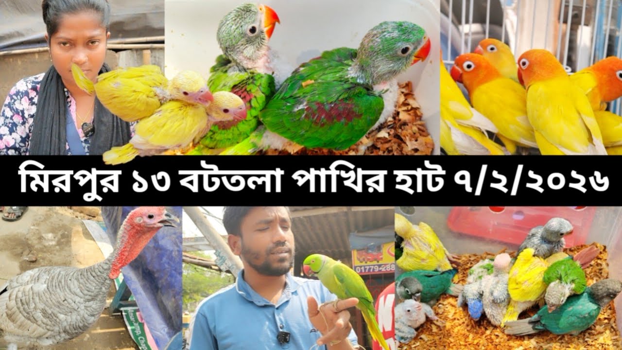 রোজায় জমজমাট মিরপুর পাখির হাট _Mirpur Pakhir hat _Talking Parrot_Tia Pakhir Dam koto 💥