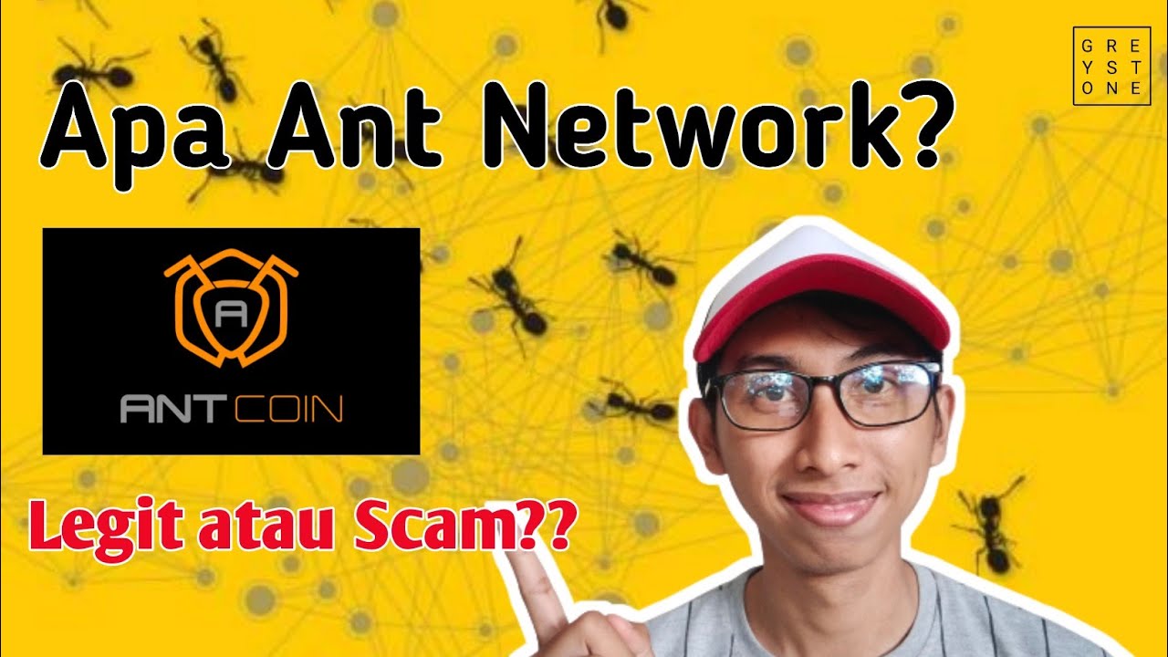 Review Aplikasi Ant Network- Analisa Ant Coin