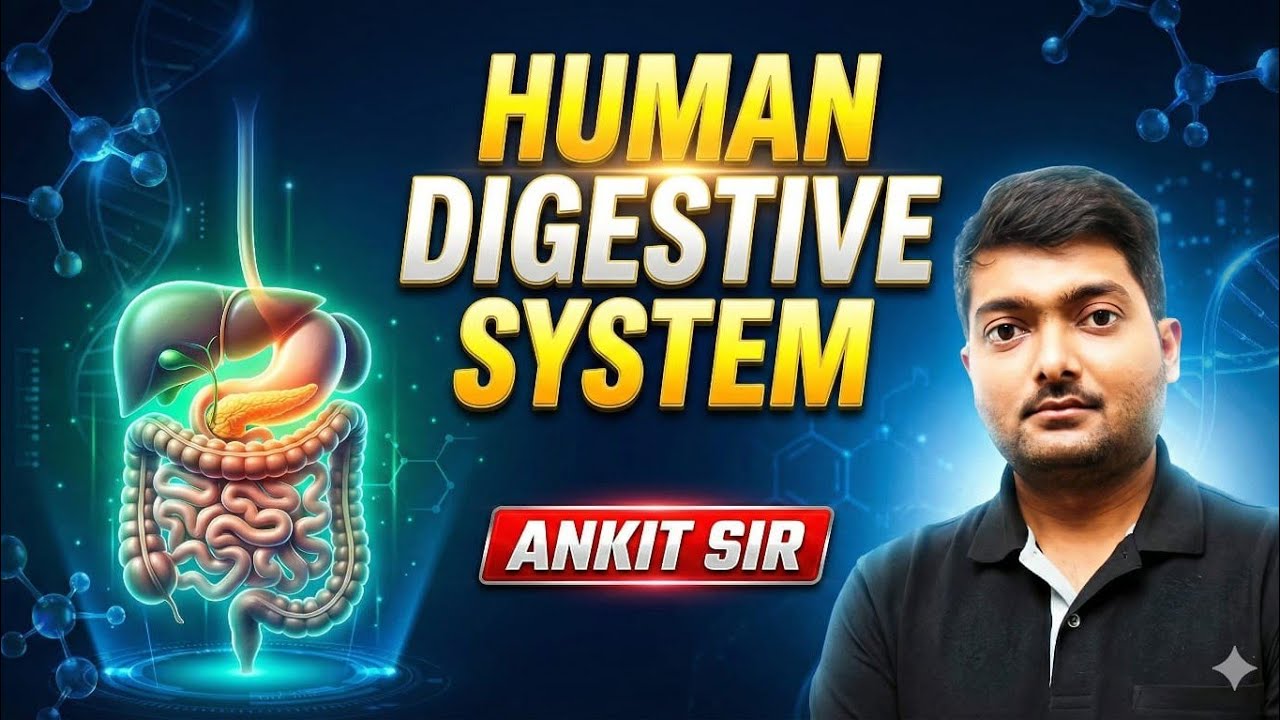Human Digestive System Explained | From Mouth to Intestines (Easy & Complete Guide)