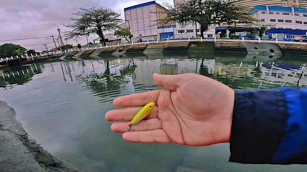 NA PESCARIA, N&Atilde;O SUBESTIME DIAS ASSIM! ROBALOS COM ISCA ARTIFICIAL, PESCA URBANA em SANTOS!
