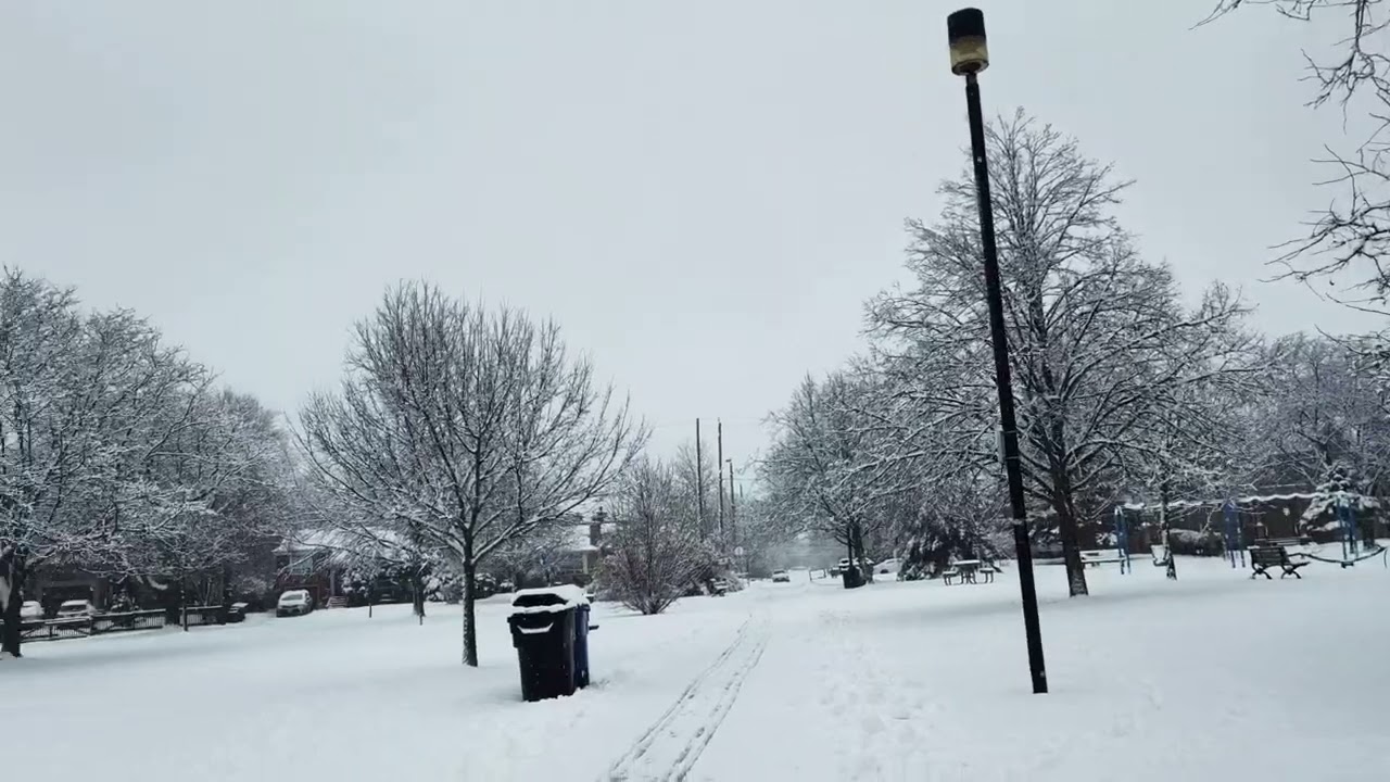 Snowfall During Christmas🎁⛄ 2025. The Sharing of Love and Joy!