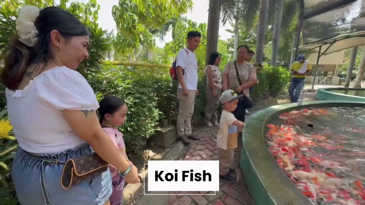 Part 2 Crocodile Park & Zoo Bday Getaway 4️⃣🎉😎🐴