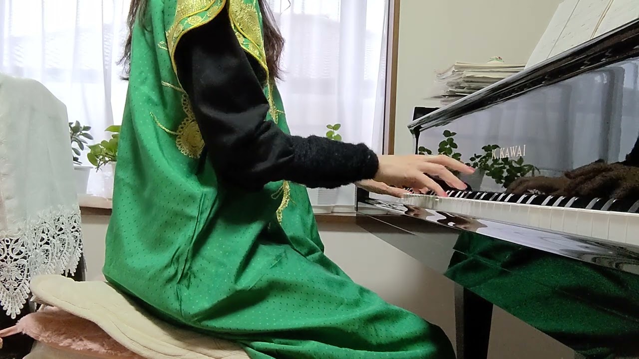 🍀「愛のままで」🌿秋元順子🌿演歌（ENKA）🌸（Japanese traditional balladic song）🌸
