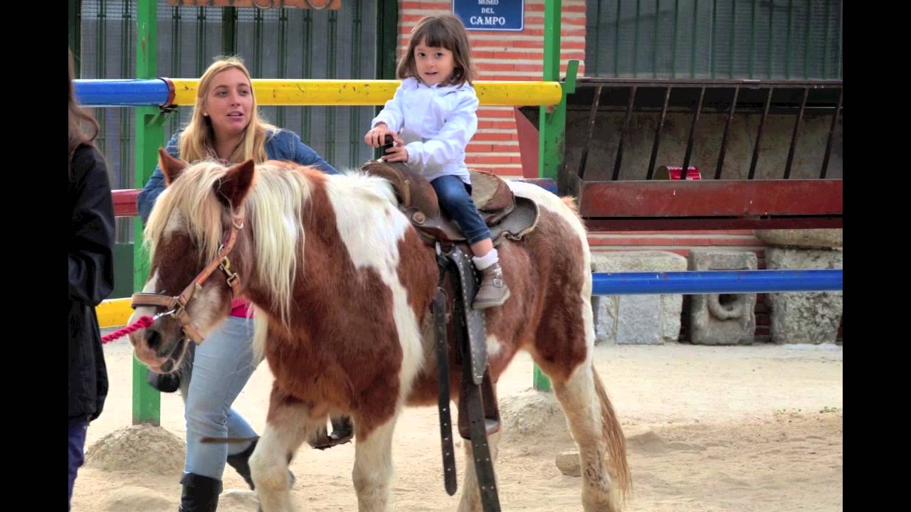 GAES Junior - Excursión Granja Escuela el Palomar