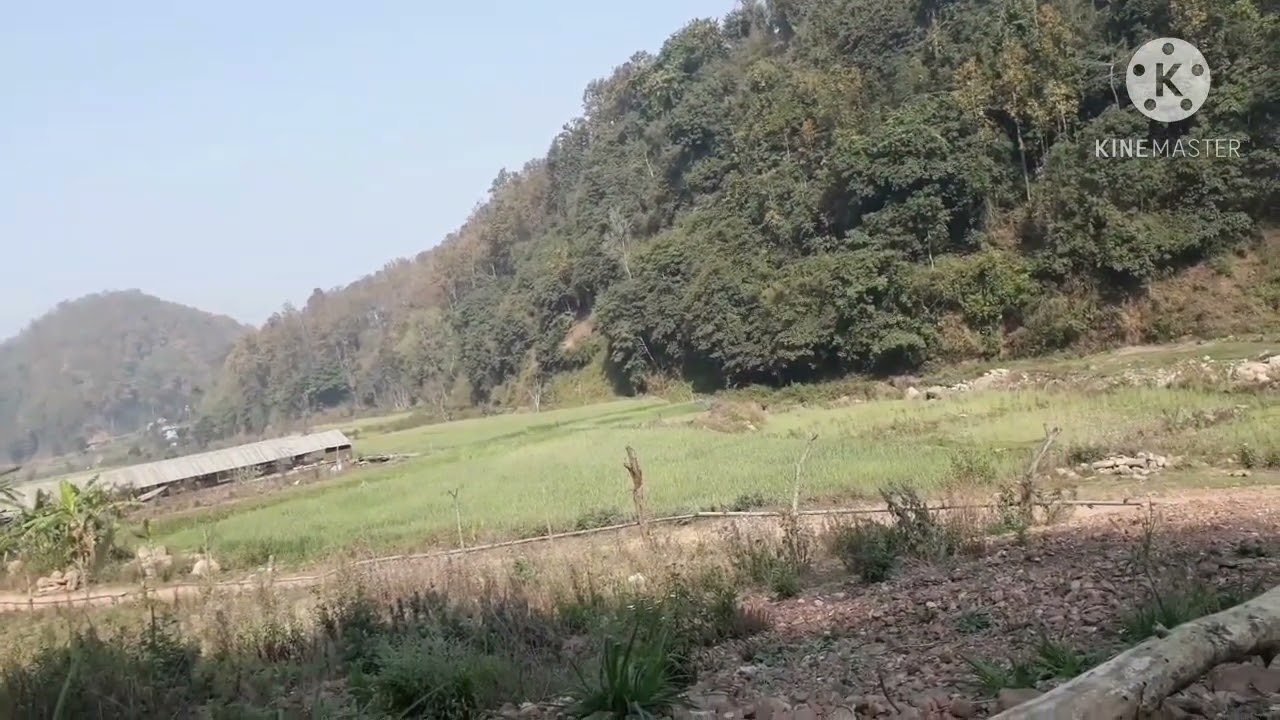 dang sisne khola