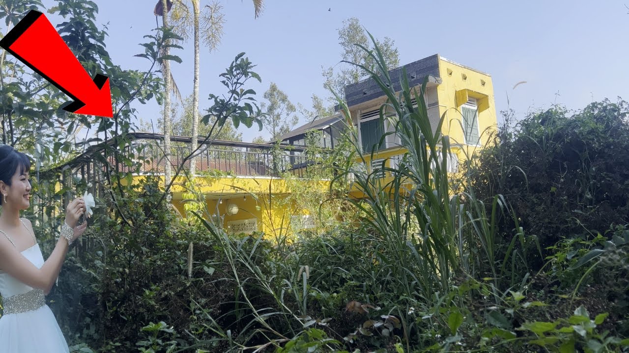 Beautiful Girl Can't Believe Her Eyes This Historic French Colonial House Was Cleaned for Free!
