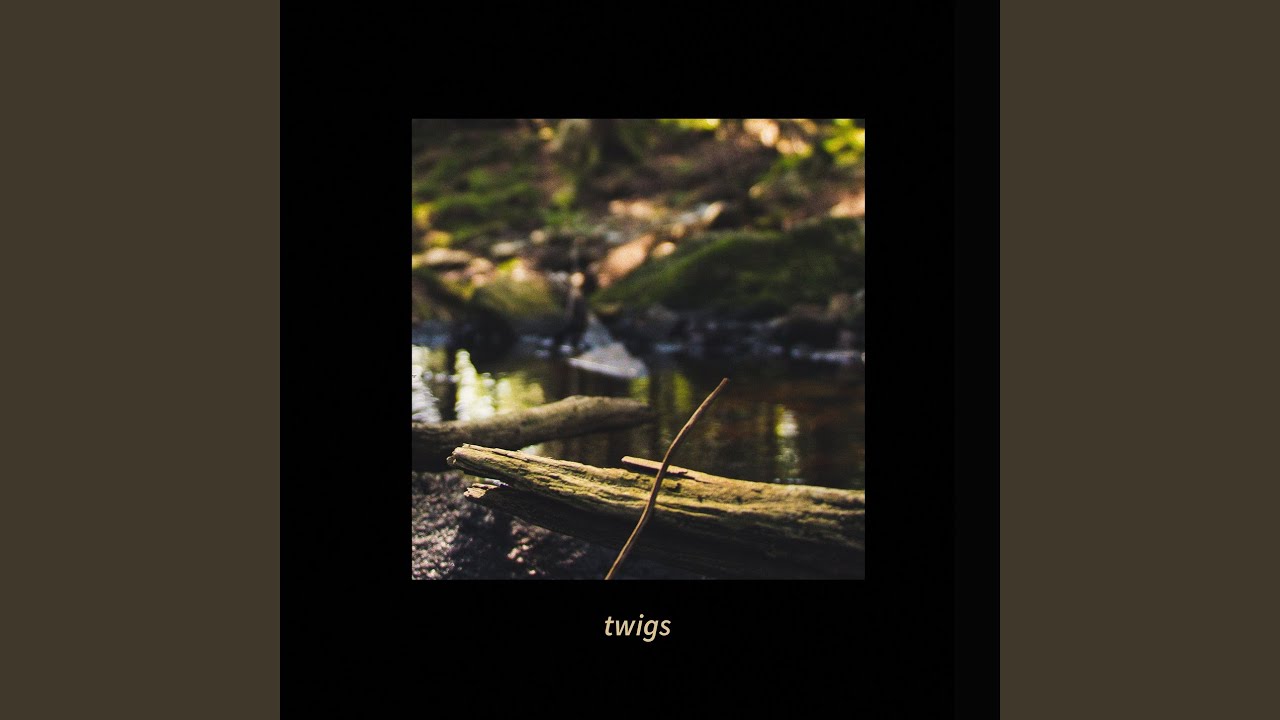 twigs